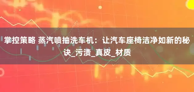 掌控策略 蒸汽喷抽洗车机：让汽车座椅洁净如新的秘诀_污渍_真皮_材质